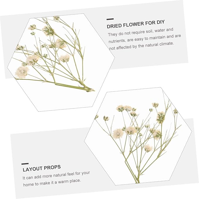Natural Eternal Dried Flower Bouquet DIY Kit Stems S Breath Floral Adornments for Home Decor Vase Filling Rustic Wedding Decorations
