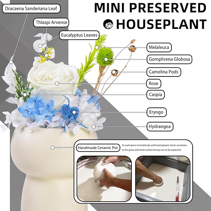 Preserved Floral Gift Set, Everlasting Rose in Small Ceramic Pot - Lasting Beauty for Home Table Decor, Mother's Day, Valentine's Day, Birthday, and Anniversary (White)
