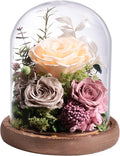 Lovenfold Flowers for Delivery Preserved Rose Gifts for Her,Forever Real Roses Flowers in Glass Dome,Birthday Gifts for Women Mom Wife Friend(Champagne Rose)