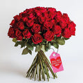GlobalRose Fresh Cut Red Roses - 50 (2 Bundles of 25) - Real Fresh Flowers Bouquet for Mother's Day, Birthday, Anniversary, Bridal Shower, or Home Decor - Flowers Delivery Gift