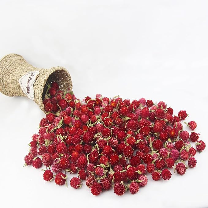 220 Pcs Dried Flowers Heads for Crafts Red Globe Amaranth Natural Dried Gomphrena Globosa Flower Bulk Dry Flower Arrangements for Wedding Decor Home Party Headband DIY