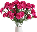 IPOPU 30 Heads Carnations Artificial Flowers 6PCS Silk Carnations 27.56in Artificial Flowers with Stems for Wedding Home Table Centerpieces Floral Arrangements(Hot Pink)
