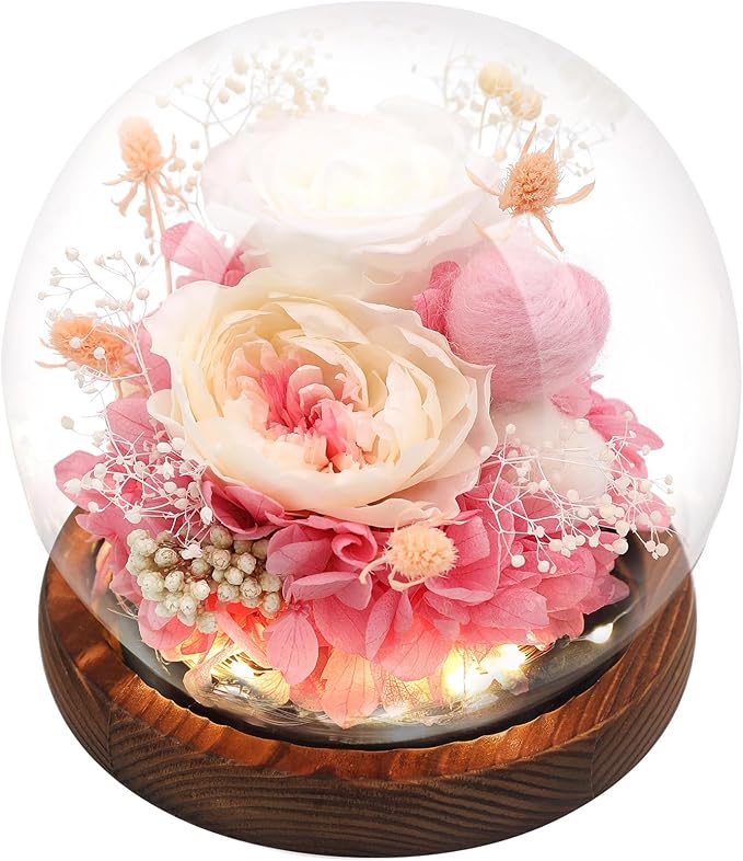 Preserved Flowers,Rose in Glass Dome with LED Light, Gifts for Her, Women, Mom,Grandma,Girlfriend, Wife- Style2