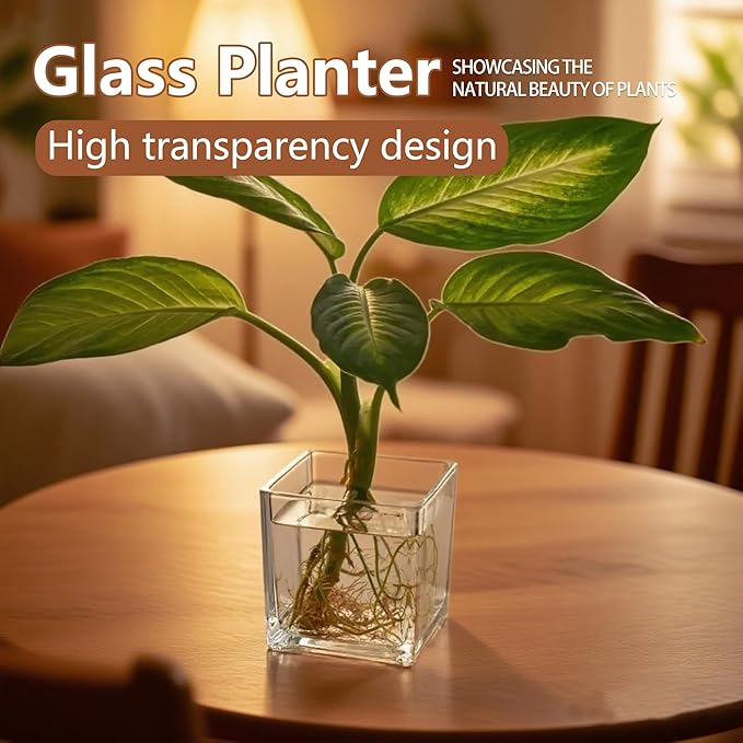 12pcs Square Glass Vases for Centerpieces, 3.15" Clear Short Glass Vase Cube Plant Terrarium, Candle Holder for Wedding Centerpiece, Office Decorations, Home Décor, Parties