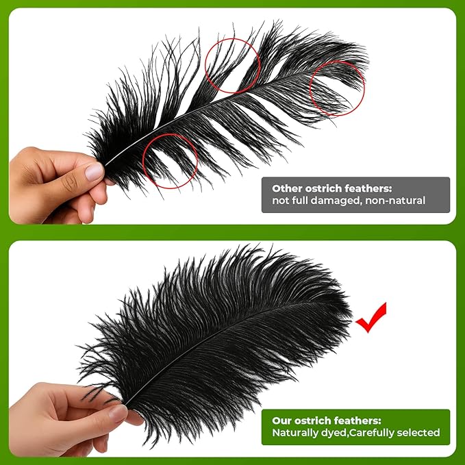 Piokio 20 pcs Natural Black Ostrich Feathers Plumes 8-10 inch(20-25 cm) Bulk for DIYclothes Plumas para, Feather Pens, Dream Catcher, Gatsby Decorations