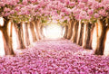 AOFOTO 9x7ft Spring Cherry Blossom Backdrop Sweet Pink Flowers Tree Floral Petal Boulevard Photography Background Wedding Photo Studio Props Girl Bride Woman Lady Mother Artistic Portrait Wallpaper