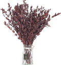 Dried Eucalyptus Leaves Preserved Greenery Stems, 8-14 PCS Eucalyptus Garland Branches, 4 OZ Red Leaves Plant Bundle for Wedding Wreath Party Home Decor Vase Filler