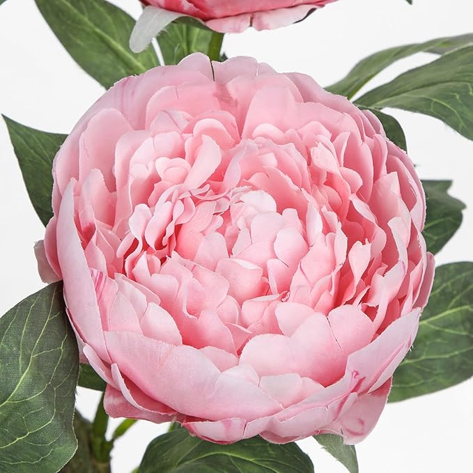 Hollyone Pink Fake Peonies Artificial Flowers in Pot 16.9" Small Peonies Tree Indoor Outdoor Faux Plants & Flowers Peony Silk Flowers Potted Plant Artificial Peony Floral Arrangement Desk Home Decor