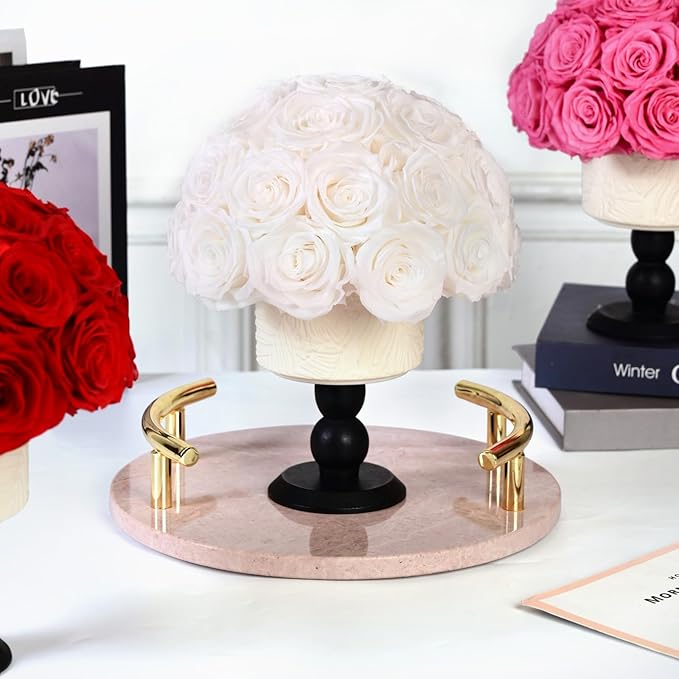 Luxury Preserved Flowers Blooms with Ceramic Base, Mushroom Shape Forever Eternal Natural Rose Gift Box for Home Table Decoration, Girlfriend Wife family Valentines Mothers Day Birthday (White)