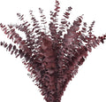 Real Dried Eucalyptus Stems, 20Pcs 17inch Red Preserved Fresh Eucalyptus Stems Plant for Home Vase Wedding Festival Floral Arrangement Fall Decoration