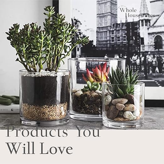 WHOLE HOUSEWARES | 4"X4" Glass Cylinder Vase | Candle Holder | Decorative Centerpiece Arrangement for Wedding Party Event Home Office Decor | Set of 6