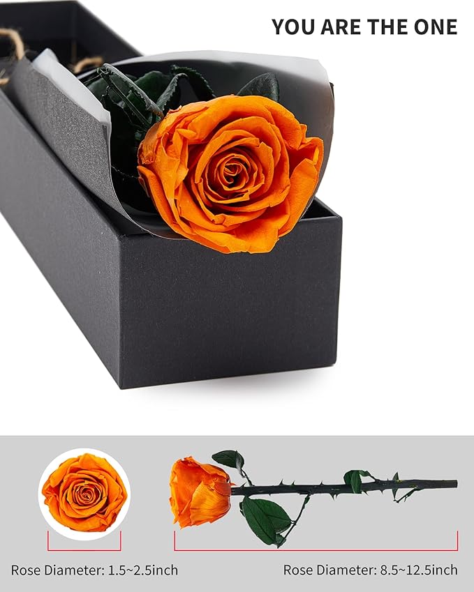 Orange Flowers for Delivery Prime, Preserved Orange Roses Flower Gifts for Women, Real Roses Single Rose Gifts for Her, Mom Birthday Gifts from Daughter, Valentines Flowers