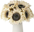 DuHouse 12pcs Artificial Sunflowers with Long Stems 5.5" Silk Sunflowers Bulk for Wedding Home Garden Outdoor Party Decoration(Beige)