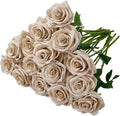 15pcs Fake Roses Artificial Silk Flowers Nude Faux Rose Flower Long Stems Bouquet for Arrangement Wedding Centerpiece Party Home Kitchen Decor (VASE is NOT INVLUDED)