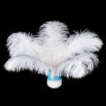 Piokio 20 pcs Natural White Natural Ostrich Feathers Plumes 8-10 inch(20-25 cm) Bulk for DIY Clothes, Feather Pens, Dream Catcher, Gatsby Decorations