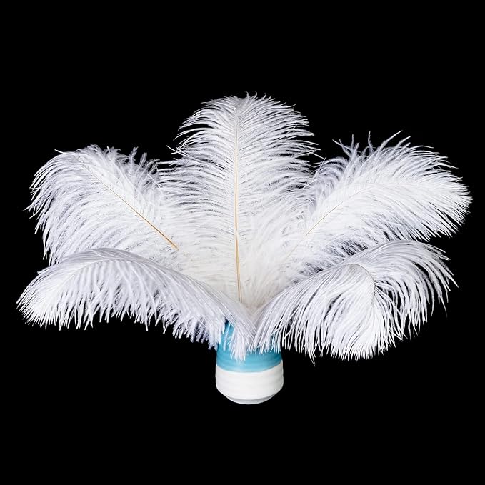 Piokio 20 pcs Natural White Natural Ostrich Feathers Plumes 8-10 inch(20-25 cm) Bulk for DIY Clothes, Feather Pens, Dream Catcher, Gatsby Decorations