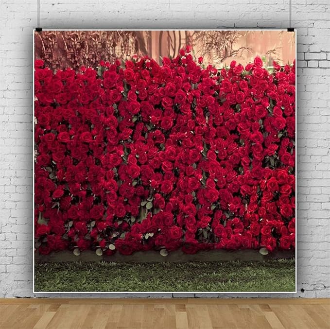 AOFOTO 8x8ft Portrait Backdrops Photography Wedding Background Manor Romance Red Rose Flowers Wall Blurry Grassland Lovers Anniversary Decor Kid Girl Ladies Portrait Photo Shoot Studio Props Vinyl