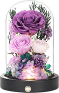 Forever Flowers for Delivery, Purple Preserved Flowers in Glass Dome,Eternal Rose That Last 1-3 Years Valentines Day Christmas Anniversary Birthday Gifts for Women Mom Wife Girlfriend Her