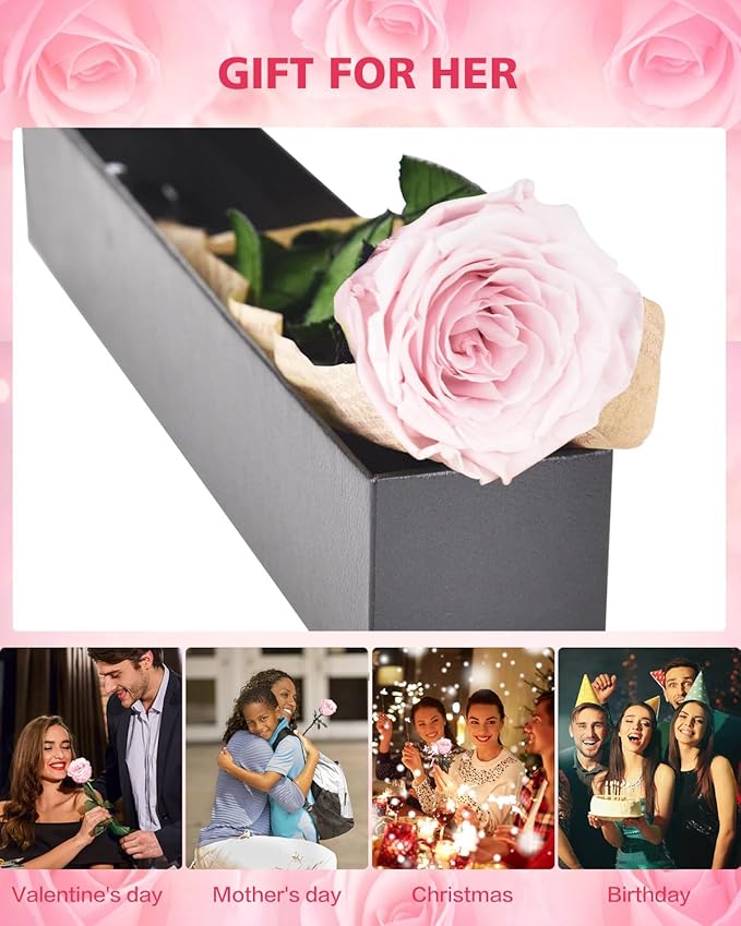 Pink Preserved Flowers Gifts for Women: Eternal Rose Birthday Christmas Anniversary for Mom Girlfriend Wife Grandma