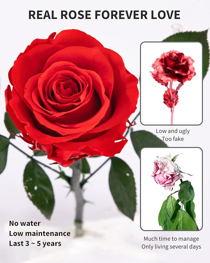 Flowers for Delivery Prime, Preserved Roses Flower Gifts for Women, Real Roses Single Rose Gifts for Her, Mom Birthday Gifts from Daughter, Valentines Flowers Red Roses
