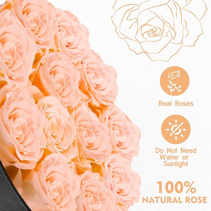 Forever Flowers,12 Roses in A Box, Real Preserved Flowers, Best Birthday, Wedding Gift for Her, Mom, Wife-Champagne Roses