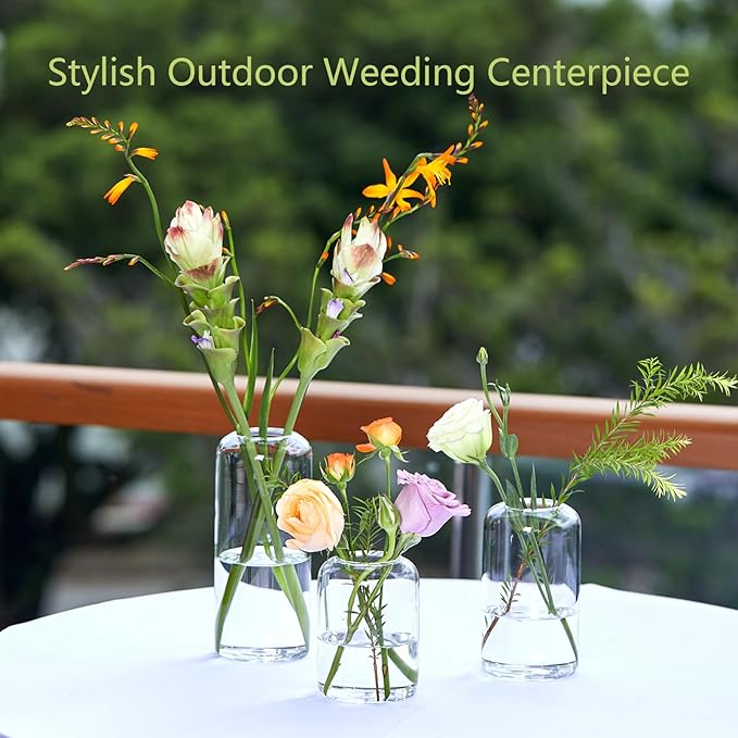 ZENS Bud Vases Set of 6, Modern Small Glasss Vase for Flower Clear Bud Vases in Bulk for Wedding Centerpiece, Blown Thicker Glass Small Vase for Flowers, Wedding Party Decorative, Home Bathroom Decor