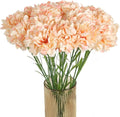 Champagne Carnations Artificial Flowers 15PCS 21.25in Carnations Silk Flowers for Wedding Home Table Centerpieces Floral Arrangements Decor(Champagne)