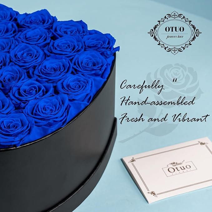 27 Preserved Roses in Heart-Shaped Box, Flowers for Delivery Prime Last up 2 Years, Real Forever Flowers for Wife, Girlfriend, Mother, Eternal Roses for Anniversary - Blue