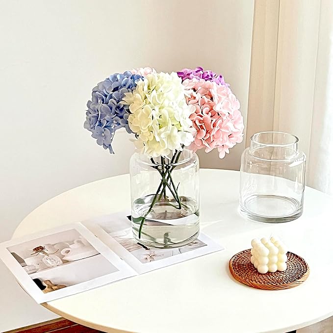 BLOFLO Clear Glass Vase, 7 Inch Large Glass Vase for Flowers, Modern Thick Glass Flower Vases for Centerpieces, Decorative Glass Cylinder Hydroponic Vase for Wedding, Home, Office (Clear, 7Inch)