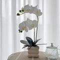 Artificial White Orchid Flower Plant, 14 inches Tall, Home Decor Orchid Artificial Flowers (White-1)