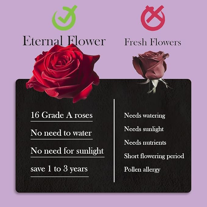 40 Real Preserved Roses in Suede Box Forever Roses Last Up to 3 Years, Flowers for Delivery Prime, Mother’s Day, Birthday, Christmas - Purple