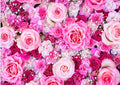 CHAIYA 7x5ft Flower Backdrop Rose Flowers Floral Wall Photography Background Birthday Baby Shower Wedding Party Banner Spring Tea Party Backdrop Photo Booth Props CY355