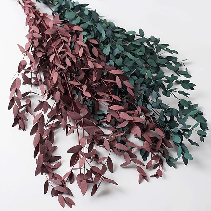 Dried Eucalyptus Leaves Preserved Greenery Stems, 8-14 PCS Eucalyptus Garland Branches, 4 OZ Red Leaves Plant Bundle for Wedding Wreath Party Home Decor Vase Filler