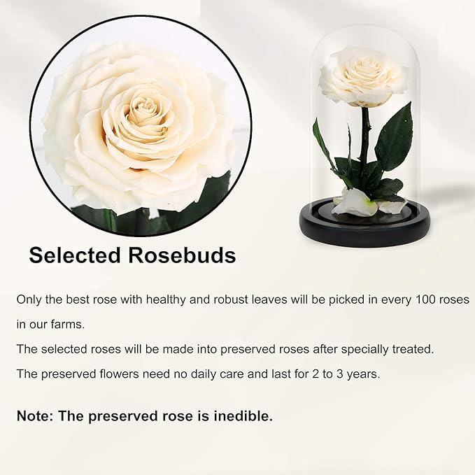 NATROSES Handmade Preserved Roses in Glass Dome, White Roses, Preserved Flowers Gifts for Women, Mothers Day Flowers