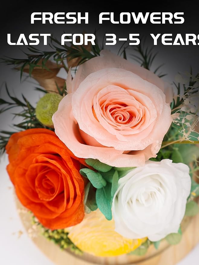 FIACO Preserved Rose Birthday Gift for Women Forever Fresh Flowers for Prime Delivery Gift for Mom Grandma Wife Valentines Mothers Day Christmas Anniversary Eternal Roses in Glass Dome