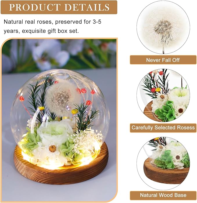 FIACO Gifts for Women Preserved Flower Forever Dandelion Rose in Glass Real Fresh Flowers for Delivery Prime Mothers Day Birthday Gifts for Mom Grandma Sister Wife Eternal Dandelion Flower Decor Green
