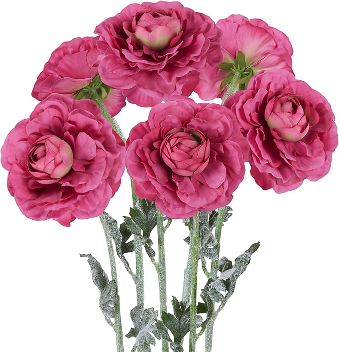 6Pcs Faux Ranunculus Flowers 19.7’’ Peonies Artificial Flowers Silk Ranunculus with Stems for Vase Table Centerpiece Home Wedding Party Garden Decoration(Rose Red)
