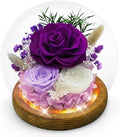 Birthday Gifts for Mom Forever Flowers for Delivery Prime Preserved Rose in Glass Dome Long-Lasting Eternal Rose Gifts for Her Women Grandma Wife on Christmas Anniversary Purple Flowers
