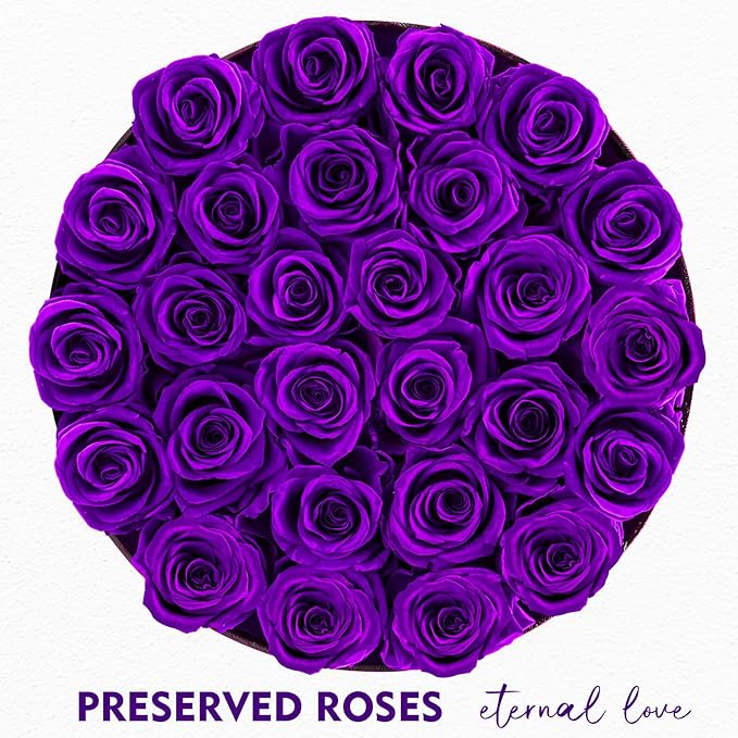 Forever Flowers, 27 Roses in A Box, Real Preserved Roses, Birthday Gift for Women, Mother's Day, Anniversary, Purple Rose