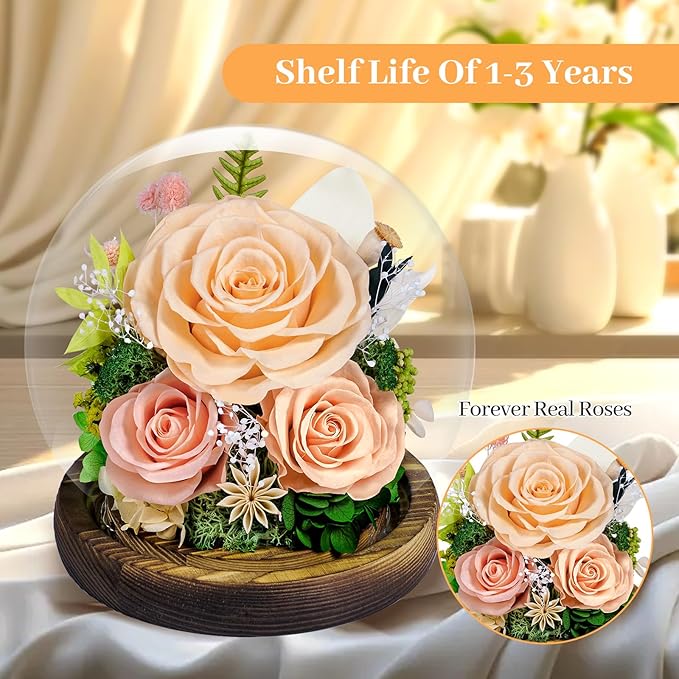 Preserved Roses Forever Flowers in Glass - Birthday Gifts for Women Mom, Real Flowers for Delivery Prime | Rose Gift for Grandma Wife Sister Friend (Mix Champagne)