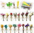 Chengu 20 Pcs Mini Dried Flowers Bouquets Natural Gypsophila Don't Forget Me Bouquets Dry Flower Leaves Dried Embossing Flower Plant Stem Bunch for Vase DIY Wedding Decoration Crafts Photo Props