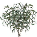 Faux Eucalyptus Stems - 34' Long Fake Salix Leaves 6 Pcs Artificial Greenery Stems for DIY Bouquet Arrangements, Centerpieces, Shower Decorations