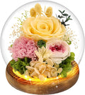 Yellow Rose Gifts for Womens Mothers Day Gifts for Mom Wife Girlfriend Mom - Preserved Real Rose in Glass Dome with LED Strip, Forever Flowers for Delivery on Birthday Anniversary