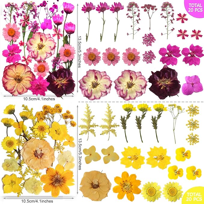 301Pcs Multi-Style Dried Pressed Flowers & Leaves (10 Packs) - Pressed Flower for Crafts, Resin, Nail Art, Candle, Soap, Scrapbooking & Frame Decor