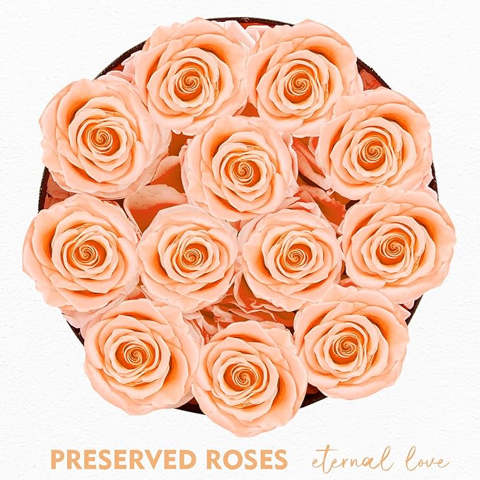 Forever Flowers,12 Roses in A Box, Real Preserved Flowers, Best Birthday, Wedding Gift for Her, Mom, Wife-Champagne Roses
