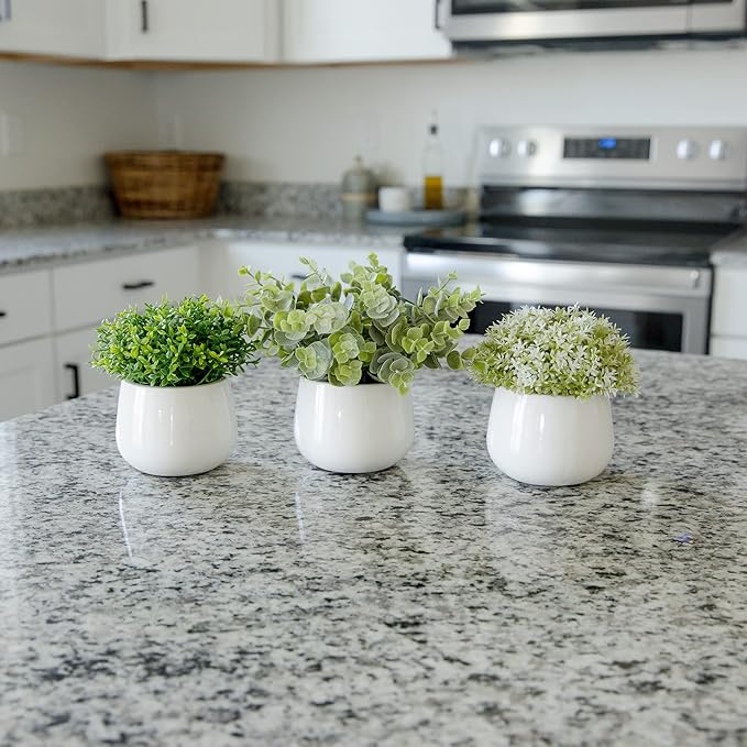 Artificial Plants for Home Decor Indoor. 4 Mini Plants, Rosemary Faux Plant Decor, Eucalyptus Plant, Grass Plants. Small Fake Shelf or Desk Greenery Décor (Ceramic-3)