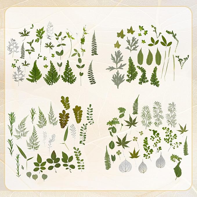 Augshy Pressed Dried Leaves Flowers, 100 Pcs Green Dried Flowers Leaves for Resin Molds Assorted Real Pressed Flowers for Crafts DIY Jewelry Molds, Scrapbooking, Candle