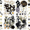 84Pcs Black Dried Pressed Flowers for Resin Molds, Bulk Real Natural Dry Floral for DIY Art Crafts, Epoxy Jewelry, Candle, Soap Making, Nails Decor, Phone Case