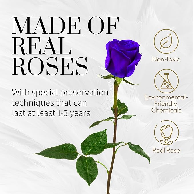 GLAMOUR BOUTIQUE Eternal Preserved Roses in a Box - Flowers Forever, Rose Forever in a Box for Wife, Birthday Gifts for Her, 7 Roses, Purple