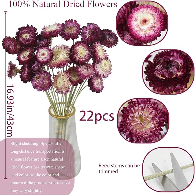 CITYES 22 Pcs Natural Dried Daisy Flowers Bouquet Dried Flower Purple Daisies Dried Sunflowers Chrysanthemum with Stem for Wedding Farmhouse Table Vase Decor Home DIY Flower Arrangement